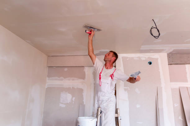 Best Repainting for Renovations  in Jacksonwald, PA